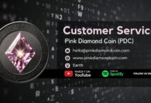 pink-diamond-coin-(pdc)-launches:-the-next-big-gem-in-cryptocurrency