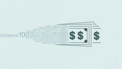 what-is-information-usage-fee-cash-conversion?-beginner’s-guide