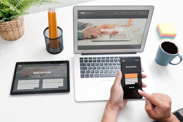 reasons-to-hire-a-professional-ecommerce-agency-for-magnificent-website-designs